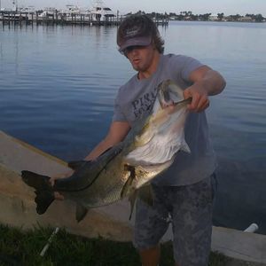 Meet your Posher, Owen